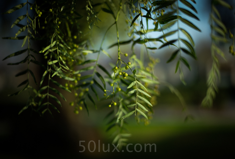 8313880815_48e6f53dc7_o