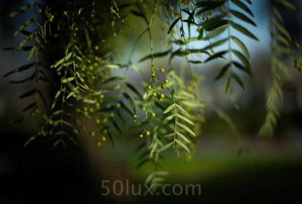 8313880815_48e6f53dc7_o