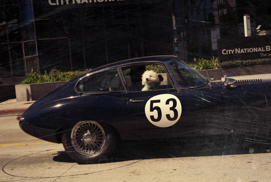 20140308-L1045489-Edit