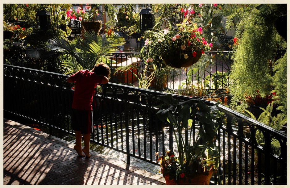 child_garden_sunlight-Edit-2-2